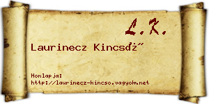Laurinecz Kincső névjegykártya